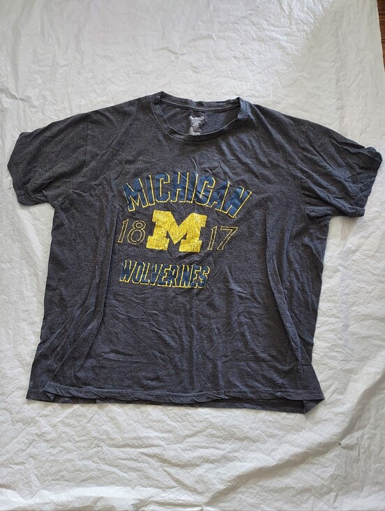Pro Edge Other - Pro Edge Michigan Wolverines Gray T-Shirt with Yellow & Blue Logo